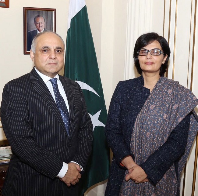 sania-nishtar-wh-organization-chatham-house-1